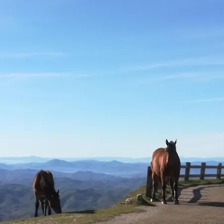 Holiday home Ca Piero Mit Pool 17 Bis 20 Personen *